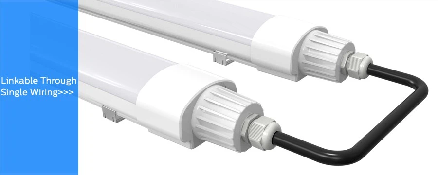 DUALRAYS D2 LED Triproof Light Details 03 DUALRAYS D2 LED Triproof Light Details 03